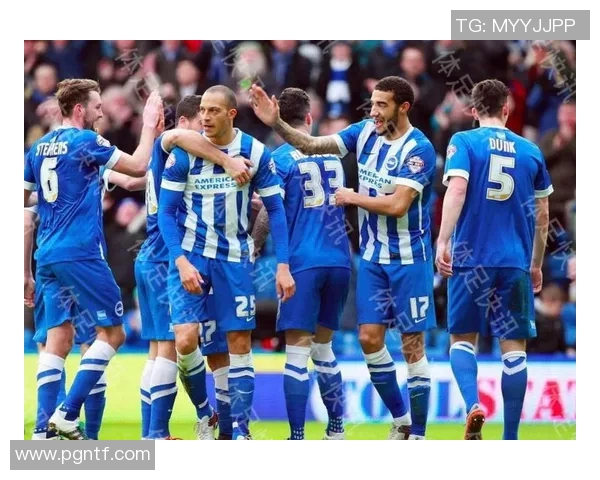 埃弗顿与布莱顿精彩对决录播回顾及赛后分析