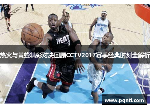 热火与黄蜂精彩对决回顾CCTV2017赛季经典时刻全解析